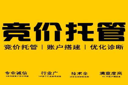 百度SEO推广公司案例解读：实战优化策略大揭秘